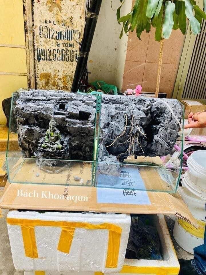 Bể bán cạn kính 5 Việt Nhật 35-40-45-50-60cm